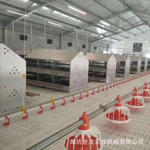 新型自动养殖设备产蛋箱产蛋窝镀锌板母鸡产蛋箱禽类集蛋窝鸡窝