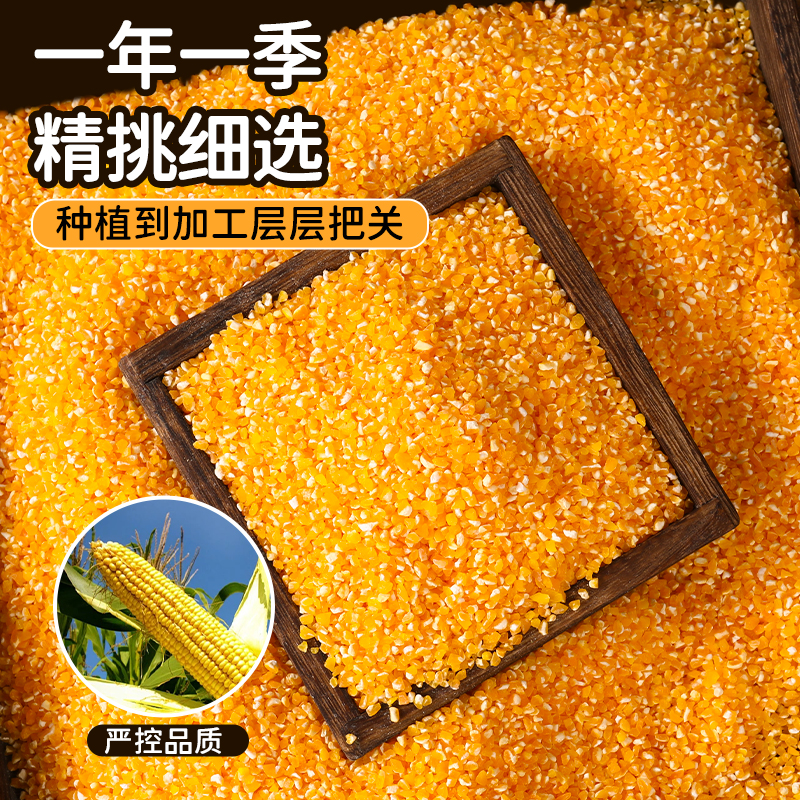 东北玉米碴大碴子玉米渣