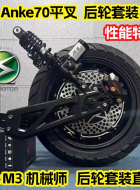 前后轮套装全顺电机10寸12寸2/3/5000WP电摩九号小牛直上平叉卡钳