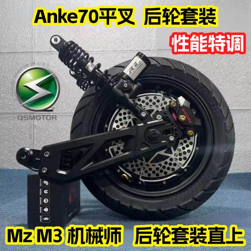 前后轮套装全顺电机10寸12寸2/3/5000WP电摩九号小牛直上平叉卡钳