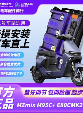 凌博260MAX 九号N70C F90M Q85 N370 M395C FZ MZ 原车直上控制器