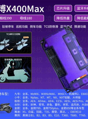 凌博X400Max 九号直上Mz M395C N370C 小牛MT NST NXL 极核AE4AE5