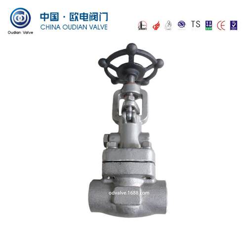 真空焊接闸阀阀 锻钢闸阀 NK钢Z61W-8中国欧电00L B不锈真空闸 真