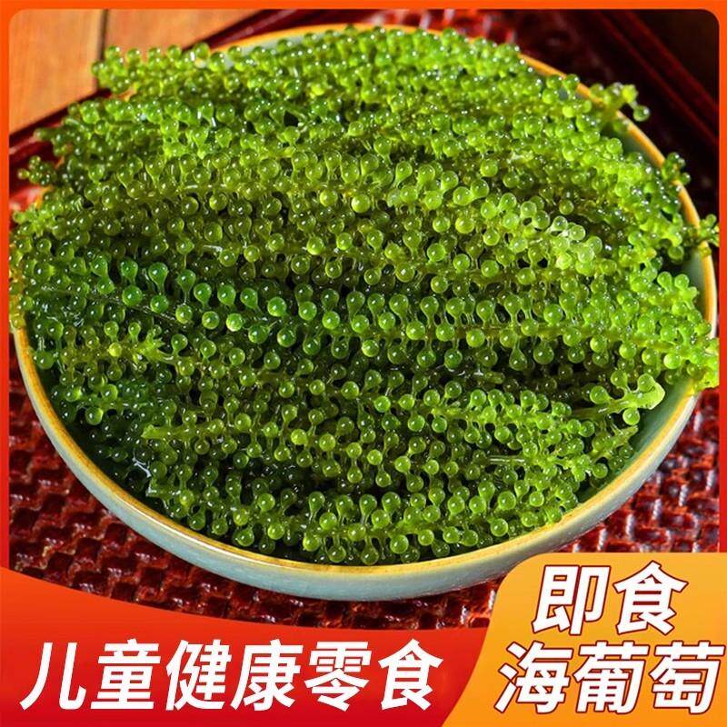 新货儿童海葡萄开袋即食新