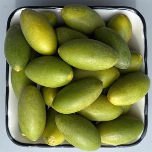 新货福建闽清生吃青橄榄橄榄果福建闽清老树檀香橄榄青果煲汤水果