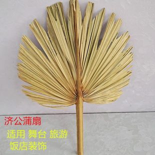 蒲扇手编中国风婴儿家用古典芭蕉扇手工大蒲扇子 扇子夏天便携老式