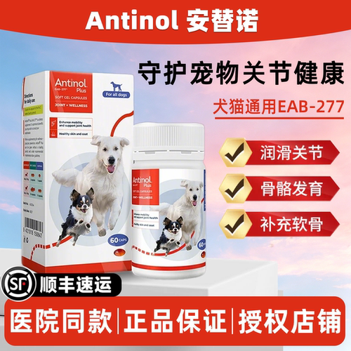 安替诺软骨素Antinol277犬猫髌骨软骨素宠物猫狗髌骨脱位关节润滑