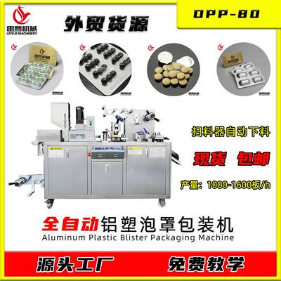 平板式铝塑泡罩包装机厂  胶囊包装机Blister Packaging machine
