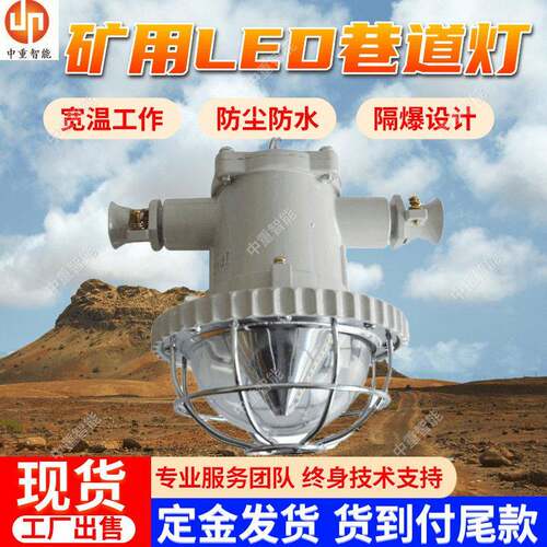 矿用隔爆型LED巷道灯 显色性DGS65/127L矿用隔爆型LED巷道灯