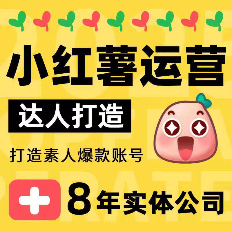 小红书品牌策划1V1指导合作小红薯爆款文案剪辑起号托管IP服务
