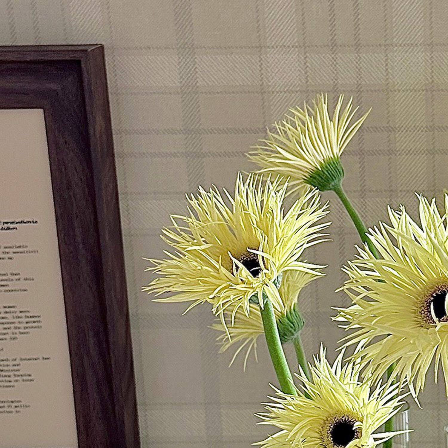 圆形木底座玻璃试管花瓶摆件客厅插花水培鲜花器高级感家居装饰品
