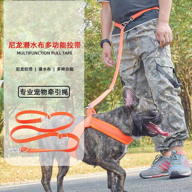 狗狗多功能牵引绳遛狗绳狗链子狗绳子泰迪金毛专用狗链遛狗神器