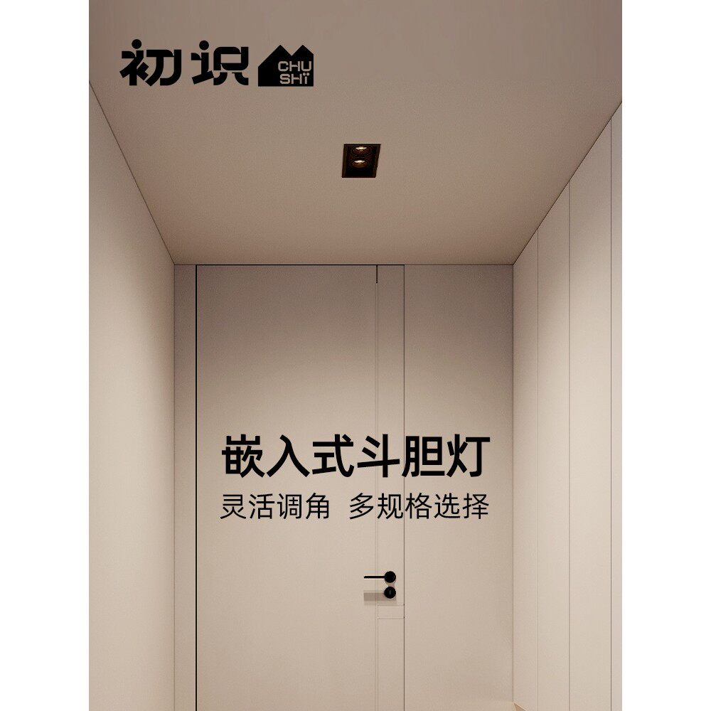 初识灯饰 led斗胆灯嵌入式双头豆胆灯三头格栅灯暗装COB方形射灯