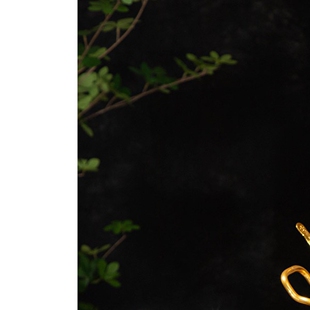 泰国餐厅特色餐具汤锅甜品奶茶米饭锅泰式风格厨具冬阴功锅具锡锅