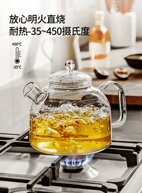 德国Trendglas Jena明火玻璃煮茶壶高硼硅耐高温烧水壶水果煮茶器