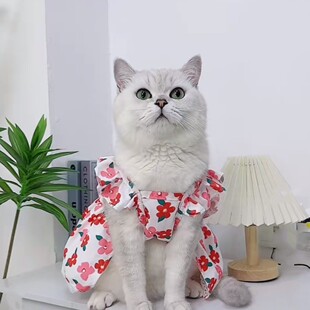 宠物猫咪衣服夏天薄款狗狗可牵引红色公主裙子布偶猫银渐层防掉毛