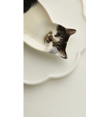 MUSe Garden 和逆子一起干饭 岛国新款原盒酱油碟筷子架组合