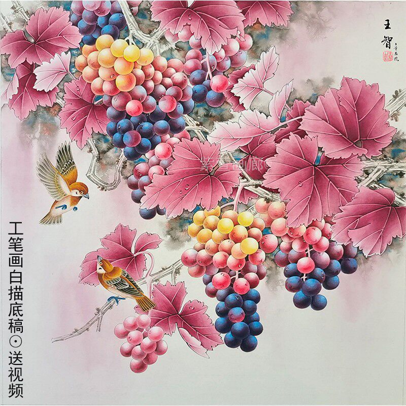 工笔画底稿白描画稿斗方葡萄临摹底稿白描手勾熟宣线描可直接上色