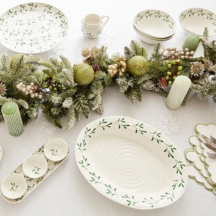 英国Portmeirion波特美林幸运叶系列陶瓷餐盘餐碗调味碟餐具礼盒