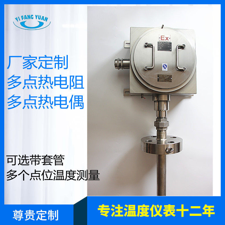 厂家直供 专业生产刚性多点热电偶热电阻 密封隔爆 选带保护套管