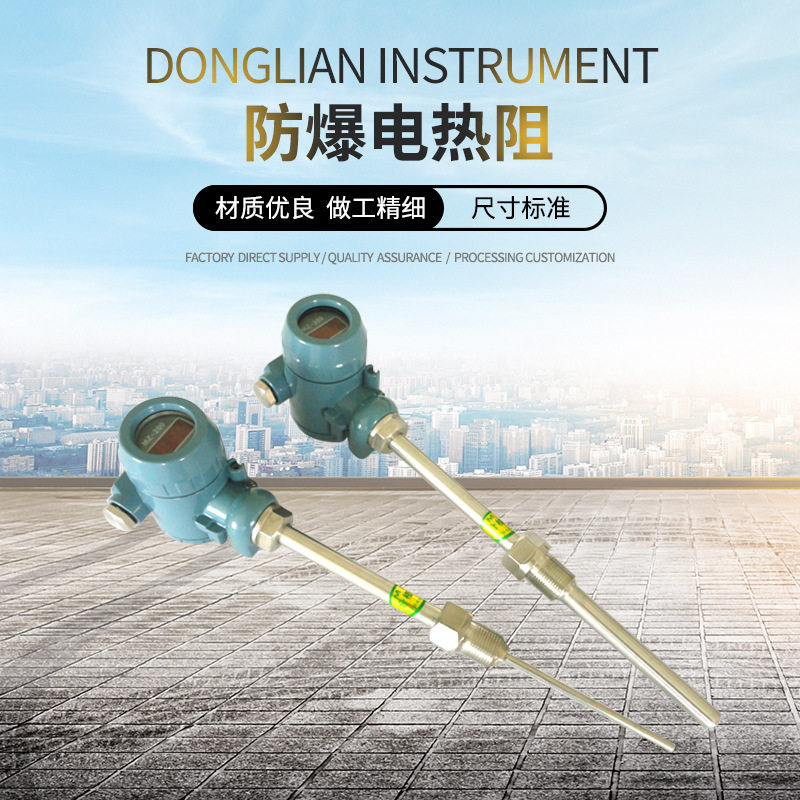 东联仪表电热阻  温控仪表厂家 可做热电偶