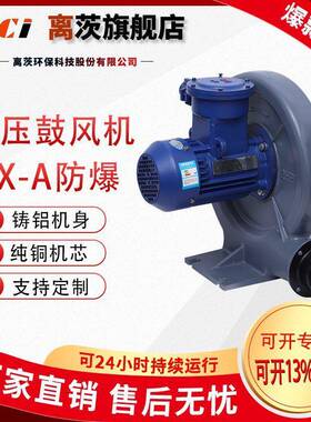 FX-A系列（CT4）防爆型中压鼓风机吹吸两用工业领域可用