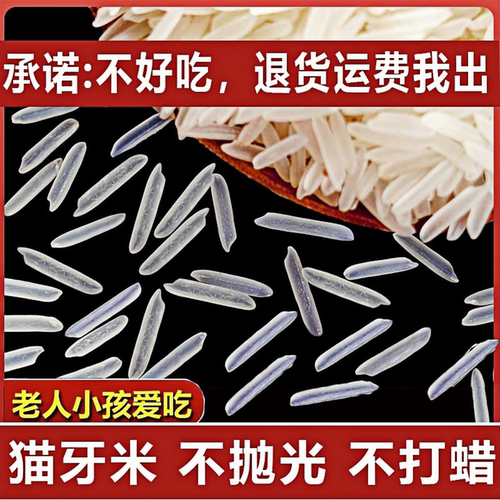 正宗猫牙米大米当季新米真空包装