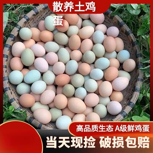 50枚土鸡蛋30枚40乌鸡蛋混合装正宗农家散养30土鸡蛋新鲜乌鸡蛋