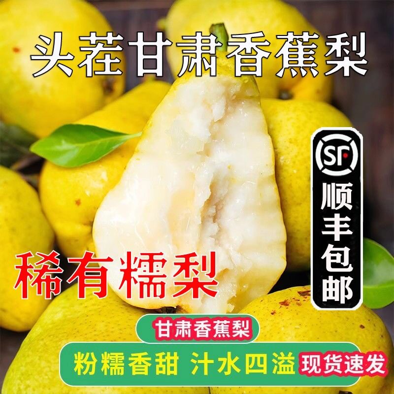 顺丰现发甘肃香蕉梨正宗太婆梨水果新鲜大头梨茄梨软梨啤梨