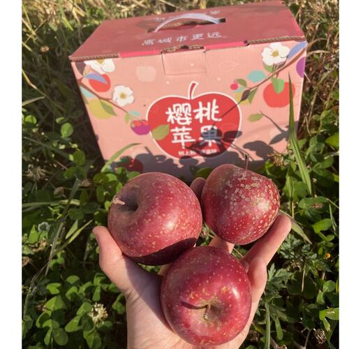 顺丰京东云南红露樱桃小苹果 纯甜无酸 26年新鲜现摘焕新上市
