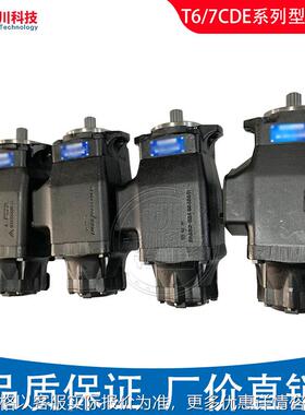 丹尼逊T6C/D/E/CC/DC/EC/ED/T7B泵芯替DENISON双联液压油泵