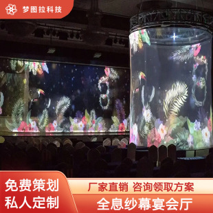 无弹性灰色全息纱幕婚礼全息投影纱幕3D 舞台激光幕透明幕餐厅