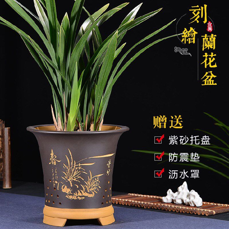 宜兴紫砂花盆兰花盆段泥刻绘带托盘君子兰蕙春兰盆栽虎皮兰专用盆