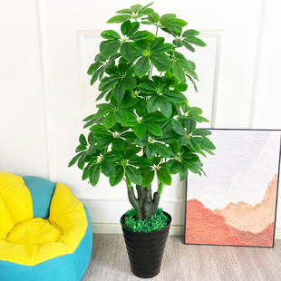 仿真绿植盆景假花塑料仿真植物假树仿真树大型装饰盆栽室内金钱树