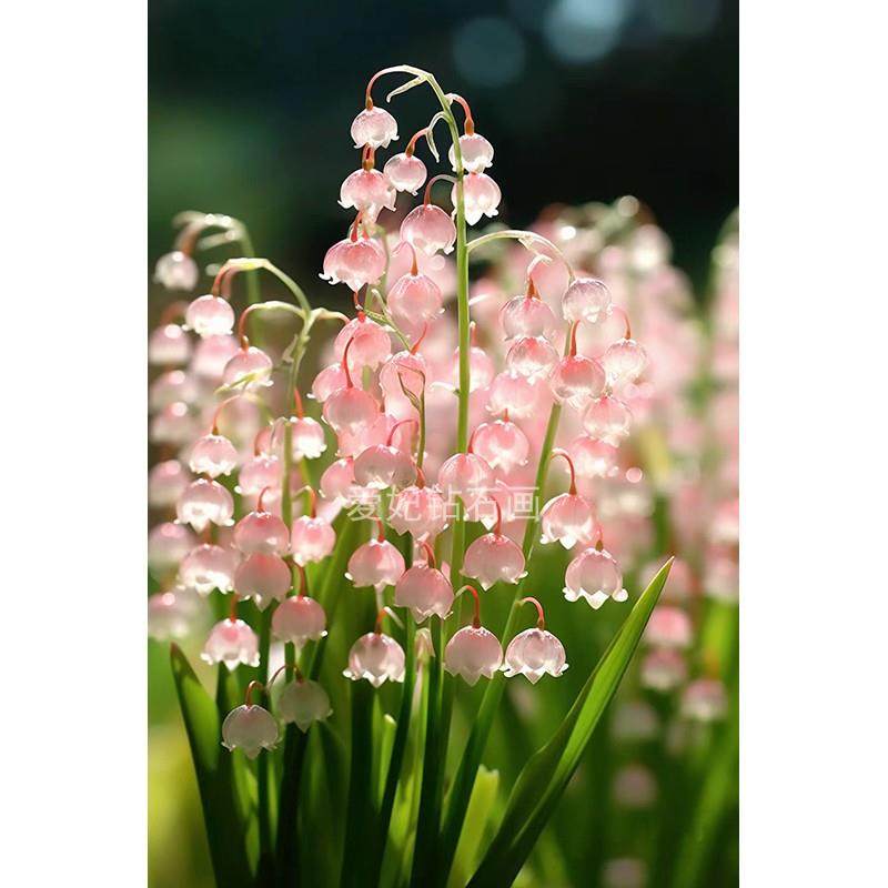 新款玄关DIY方钻满钻钻石画钻石绣粉色铃兰花手工贴钻印花十字绣,居家布艺,钻石绣,淘宝优惠券,粉丝福利购,淘宝优惠卷