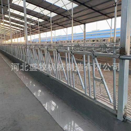 养牛场牛颈夹畜牧养牛牛颈枷牛用定位栏成品以及配件