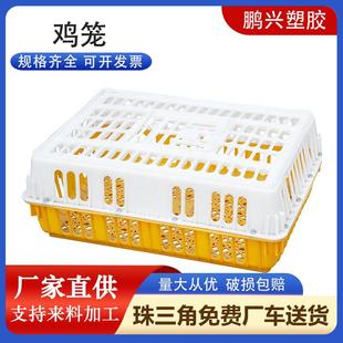 载笼周转箱农场家用大号养殖笼鸡鸭鹅周转箱 鸡笼塑料筐家禽运输装