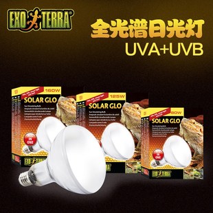 EXO UVB陆龟蜥蜴爬宠补钙太阳灯UVA日灯 TERRA希瑾爬虫全光谱UVA