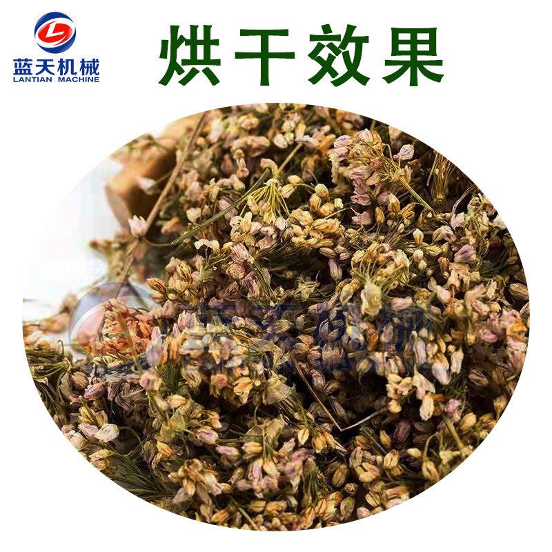 蓝韭菜花韭烘干机小LT-JCHHG型用韭花天韭苔干燥机商全智能菜烘干