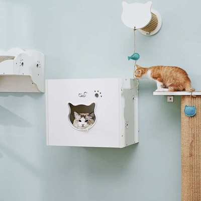 CatS猫墙经典系列 实木生态板剑麻墙上固定猫台阶猫跳台猫楼梯F