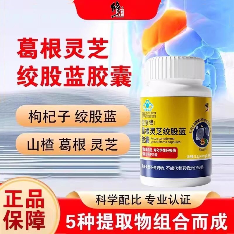 现货修正葛根灵芝绞股蓝胶囊中老年辅助调理血脂养肝片肝官方正品