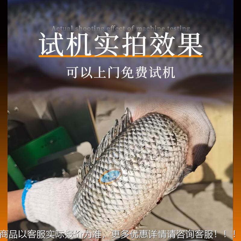 鱼鳞机 水去机产加工设备去鳞 草鱼去鳞机 无ZCA损高水去鳞压机