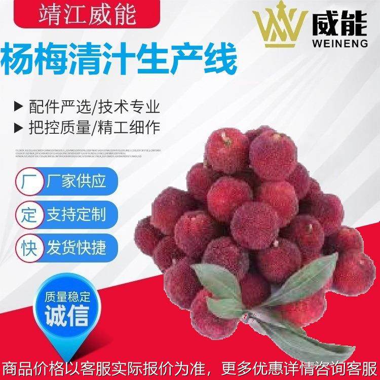 厂家直销大型工业商用不锈钢优质的沙棘果清汁生产线,厨房电器,削皮机,淘宝优惠券,粉丝福利购,淘宝优惠卷