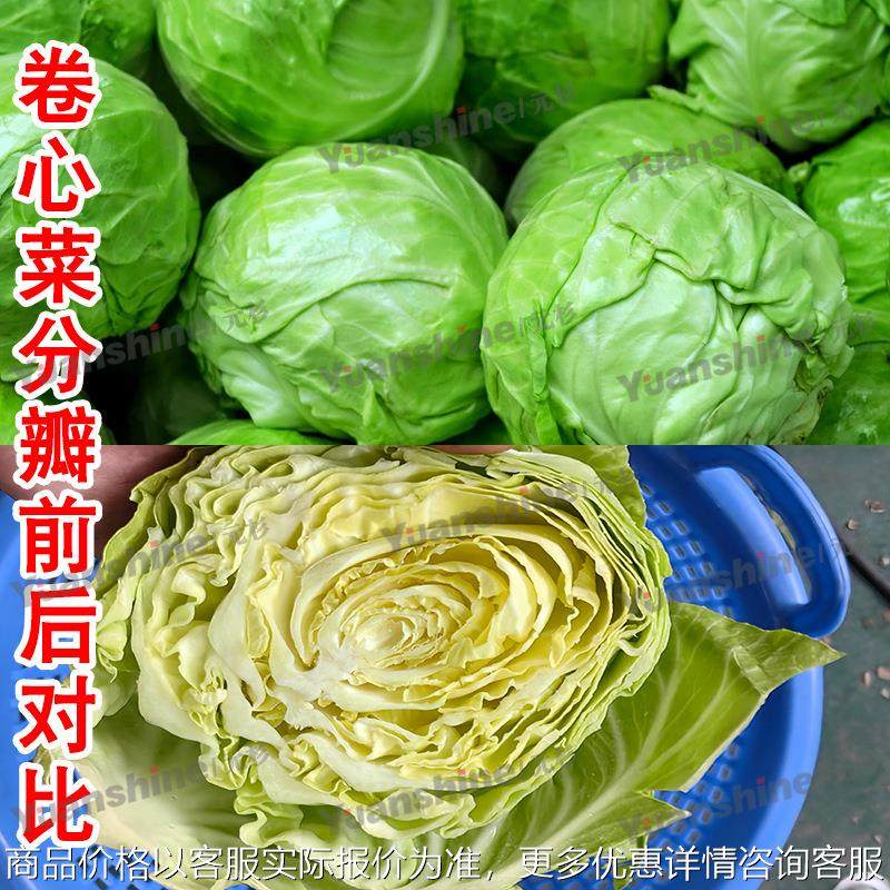 源头厂家现货果蔬分瓣机 菠萝蜜分瓣机 小型人参果分瓣机,农机/农具/农膜,其它农用工具,淘宝优惠券,粉丝福利购,淘宝优惠卷
