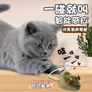 猫玩具发声小老鼠毛绒仿真电动老鼠耐抓耐咬叫叫鼠逗猫玩具自嗨鼠