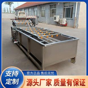 全自动高压喷淋蓝莓清洗设备多功能商用小龙虾翻滚冲浪气泡清洗机