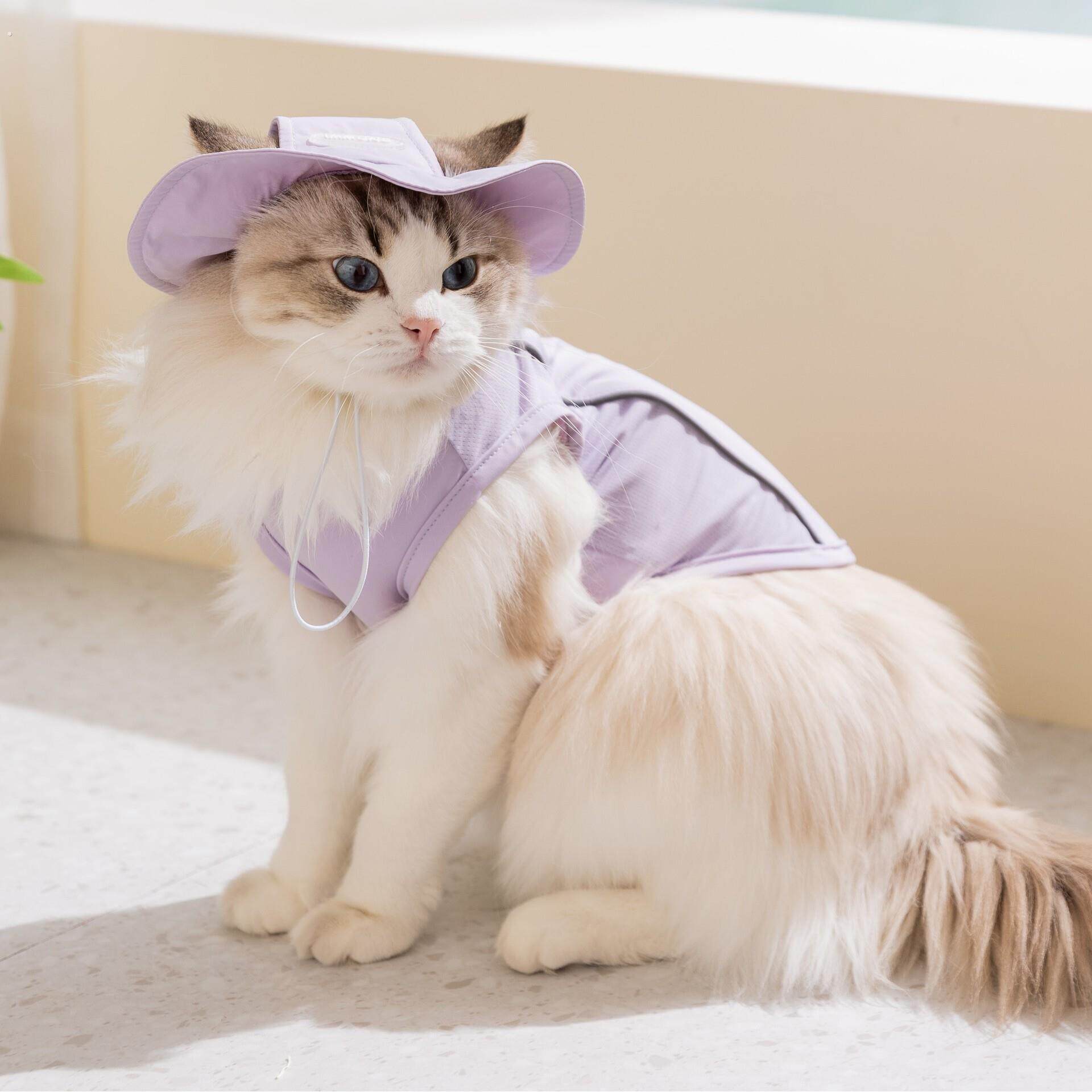 猫咪衣服春夏季宠物凉凉衣成幼猫两脚背心降温狗衣服