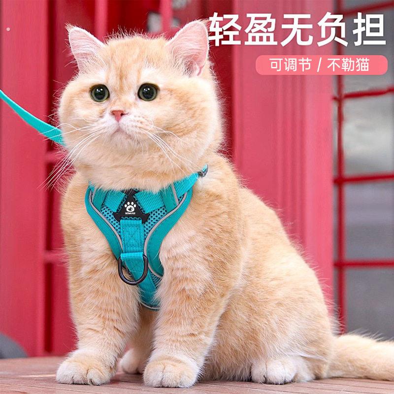 猫咪牵引绳背心式反光宠物胸抱婴袋防挣脱透气遛猫绳中小型犬牵引