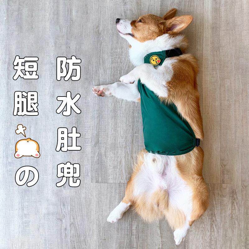 狗狗肚兜柯基围肚防水护肚子法斗夏天衣服防尘防着凉小狗护肚皮