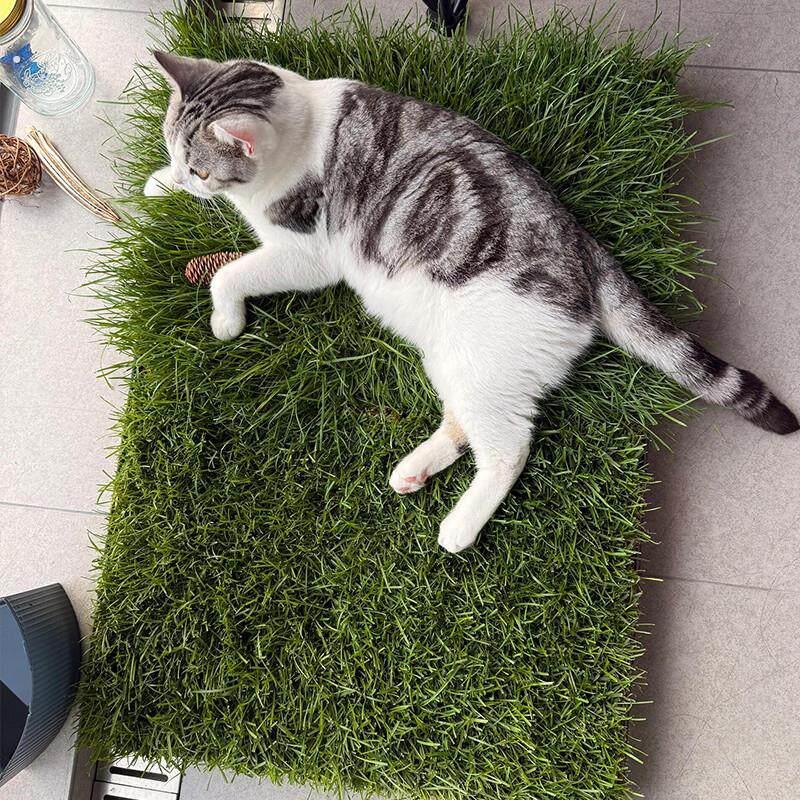 青毡宠物草毯彷真吸水除味猫狗通用狗厕所防踩屎宠物夏天降温凉垫